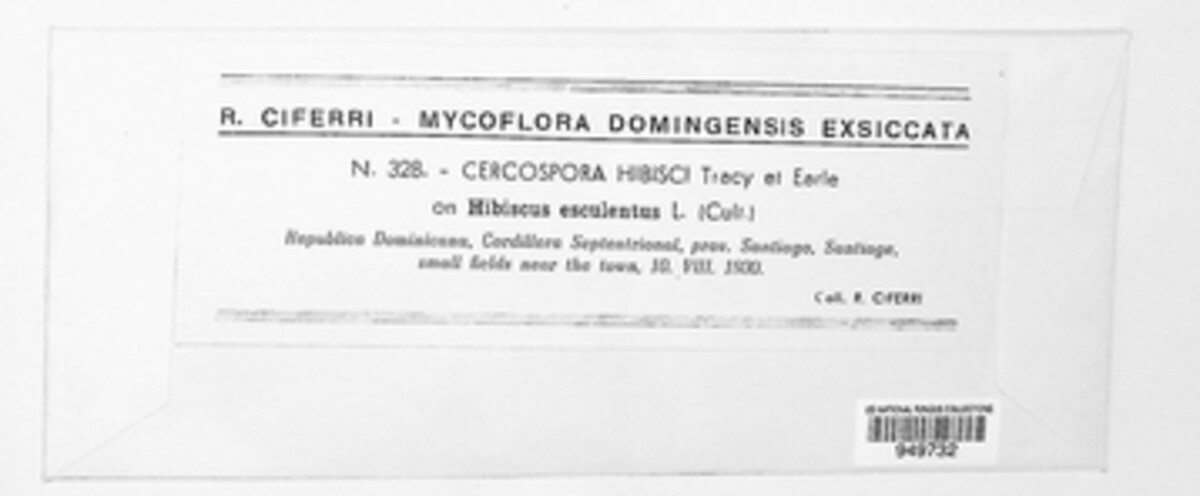 Pseudocercospora abelmoschi image